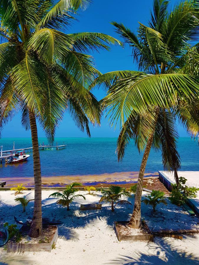 Willa Carolyn'S House Caye Caulker Zewnętrze zdjęcie