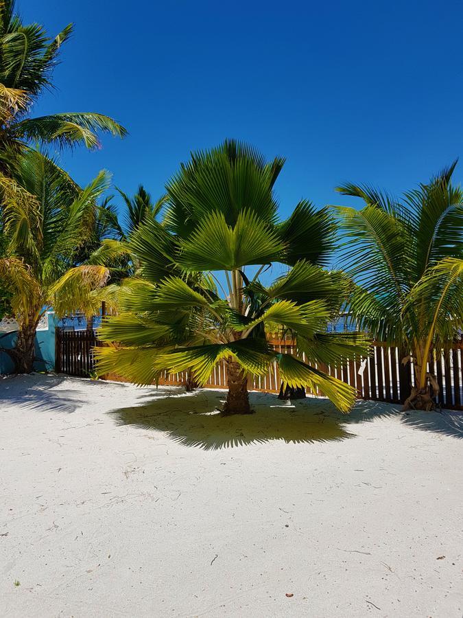 Willa Carolyn'S House Caye Caulker Zewnętrze zdjęcie